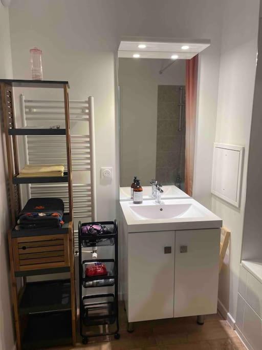 שאנטלו-אן-ברי Prego , Cosy Flat Next To Disneylandparis מראה חיצוני תמונה